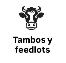 tambos y feedlots
