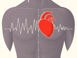 The Vagus Nerve and HRV: What the Science Actually Shows