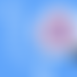 Do you know your polygenic risk score for heart disease?