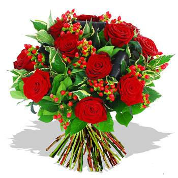 Nouvelle Joueuse d'équipe : Mme Soumaya de la Tunisie