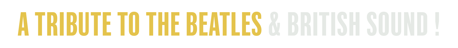 The BlackBirds - A Tribute To The Beatles.png