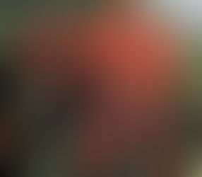 Why you need Dragons Blood in your Skin Care!