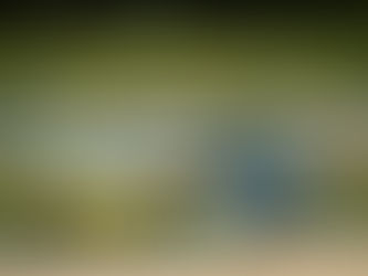 E2P set for GT4 South European Series debut with two Ginettas G50 at Jarama