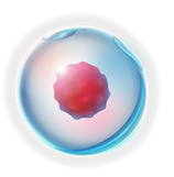iStock-1290308780 [Convertido].png