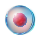 iStock-1290308780 3.png