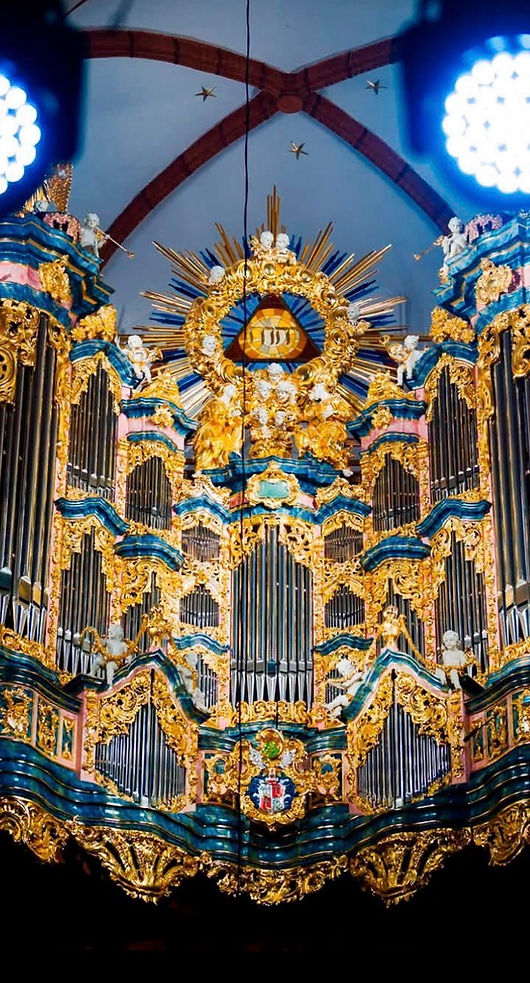 Organ Renew