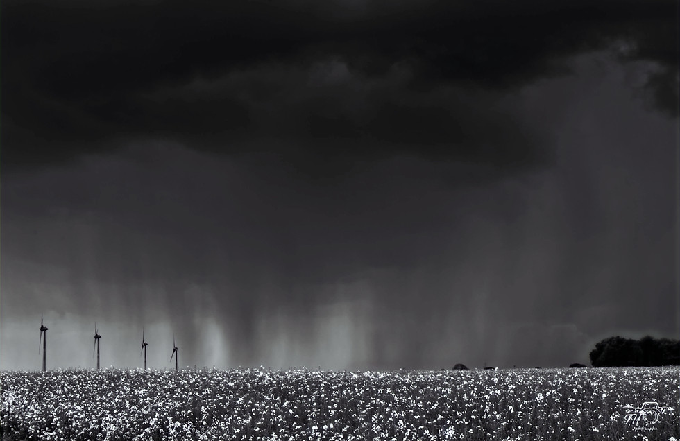 orage_edited.jpg