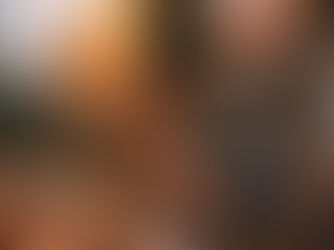 Best Cigars for Beginners: Start Smooth, Stay Curious