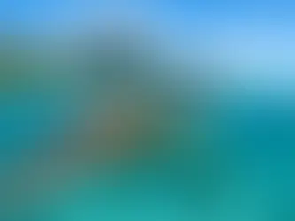 Les tortues sont-elles dangereuses à Tahiti ?