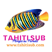 club de plongée sous marine tahiti sub punaauia
