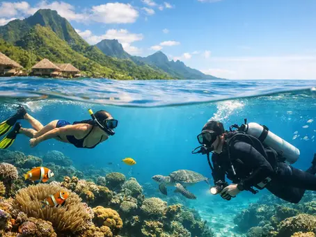 Snorkeling ou plongée Tahiti: que choisir ?