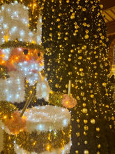 Amsterdam centraal, Guided tours