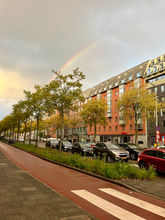 Waterlooplein, Amsterdam tour