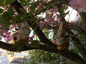 Gedanken zu Ostern! / Easter Thoughts!