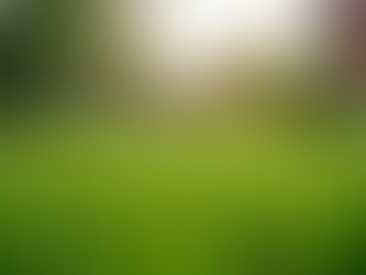 Why Professional Lawn Services Save You Time