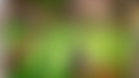 Cultivating Growth: The Endless Benefits of Teaching Children About Gardening and Food Preservation