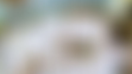 A Modern Approach to Learning - My 3 Favorite Family Style Homeschooling Curricula