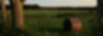 Field with Hay.jpg