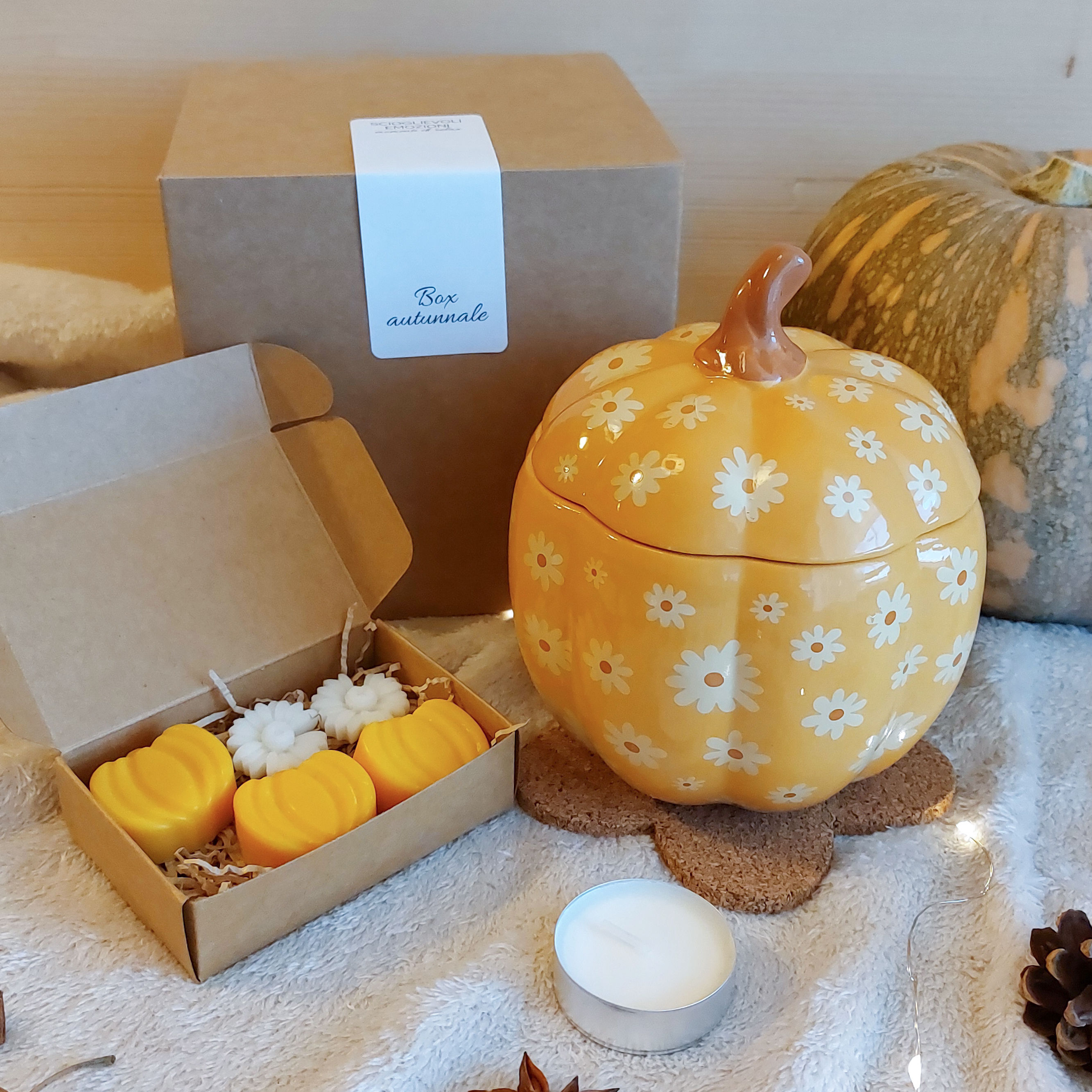 Box Zucca fiorita