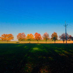 IMG_5677.jpeg