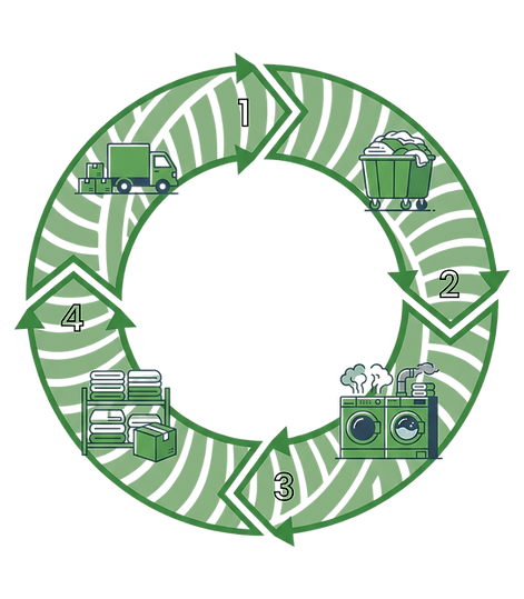 Circular Model