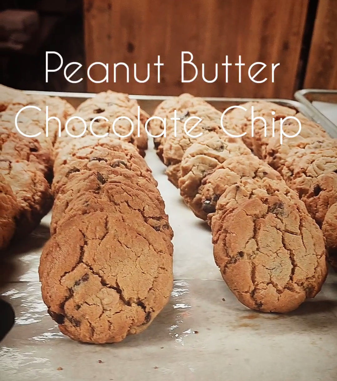 Peanut Butter Chocolate Chip