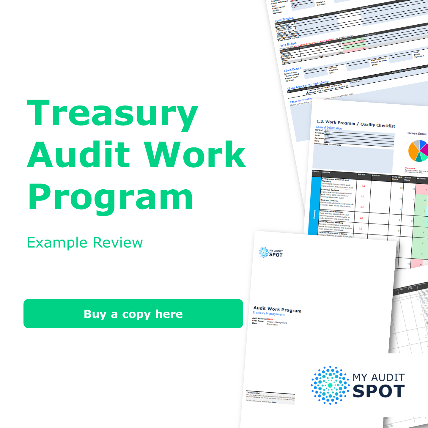FIN21 - Treasury (Basic) - Audit Work Program