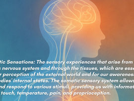 Somatics, Neurology, and the Hyperneuroplastic Experience