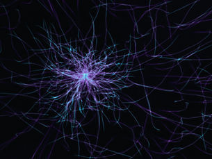 Monotropism and Hyperneuroplasticity