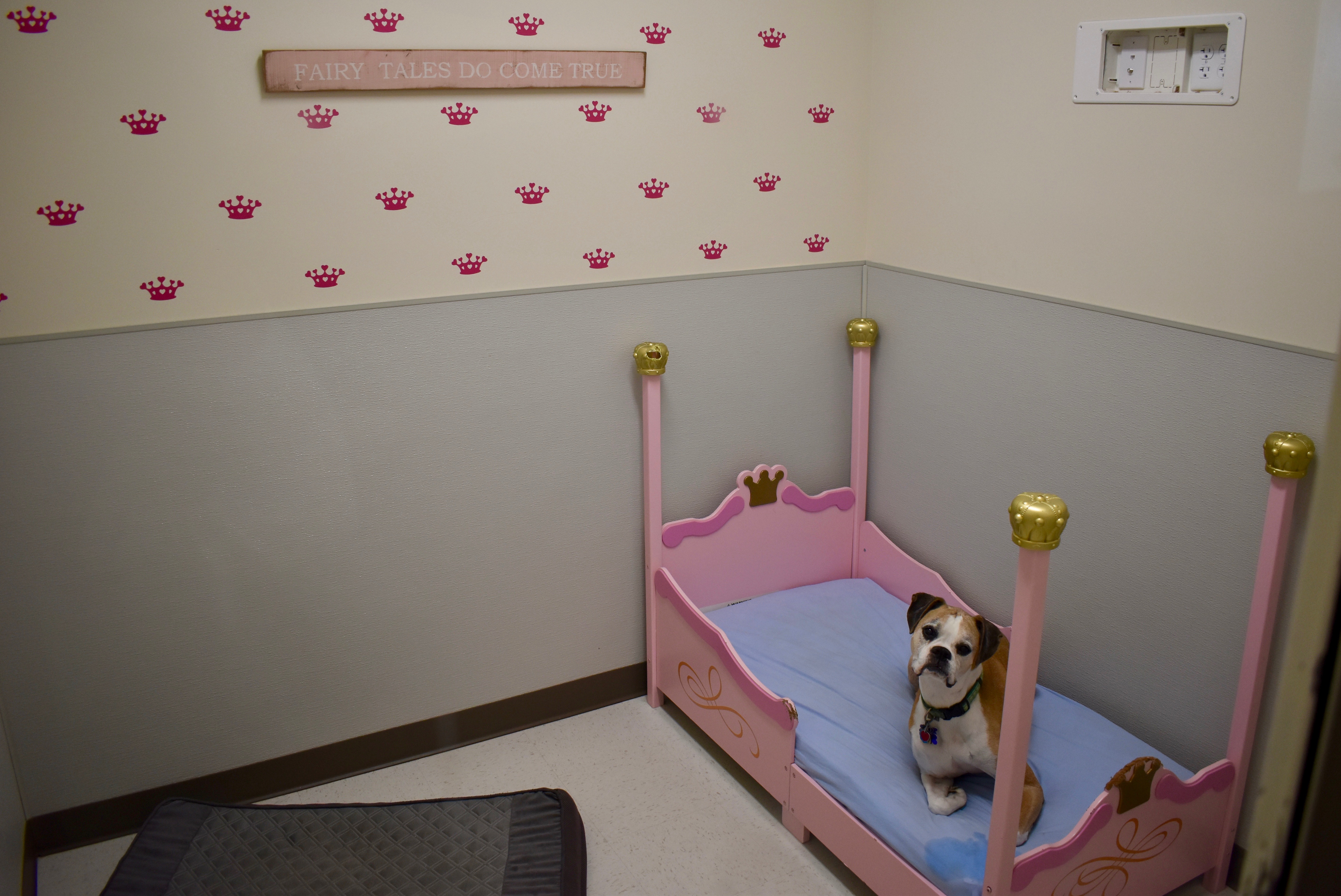 Princess Suite