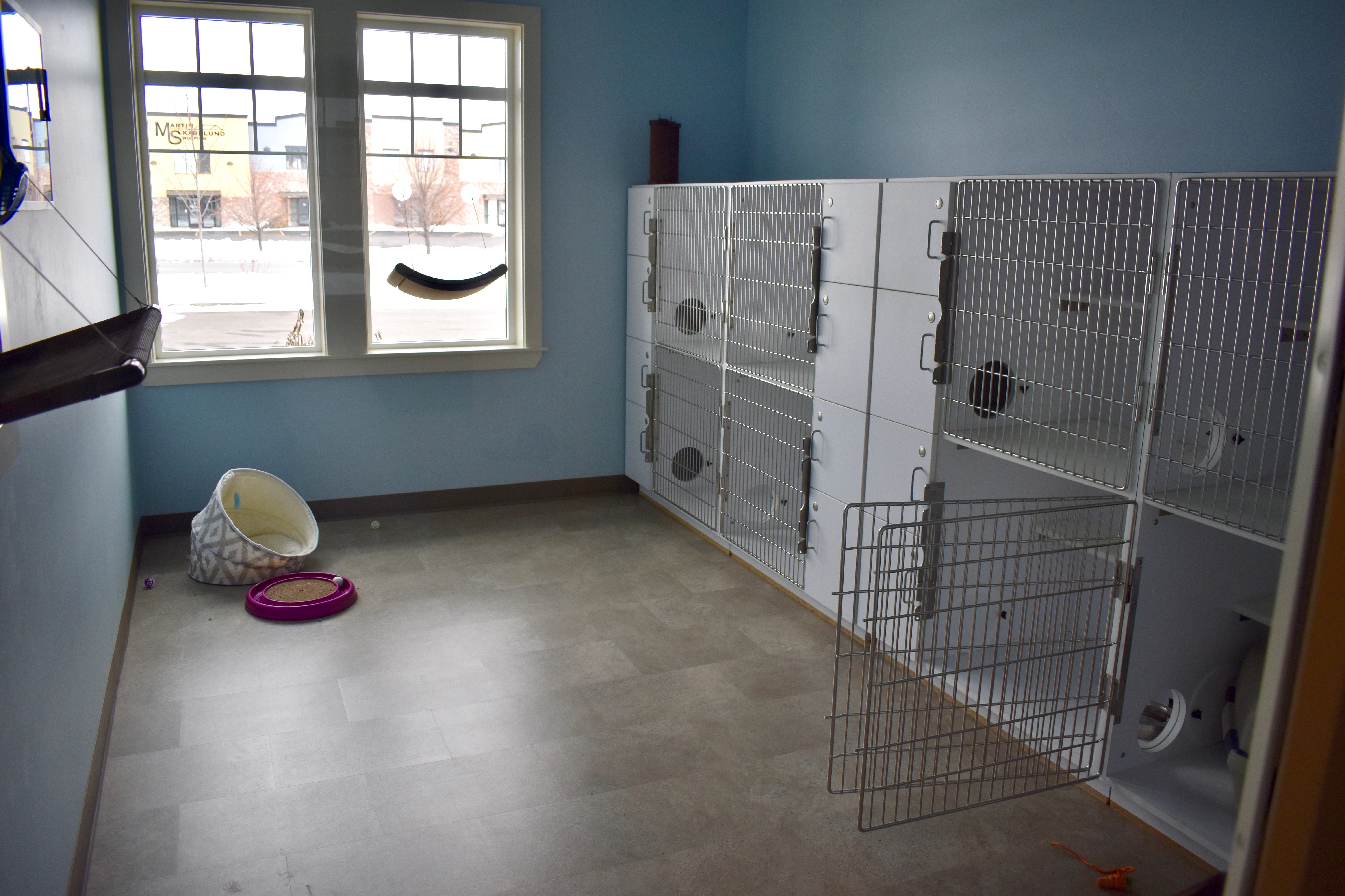 Cat Stay and Play Room