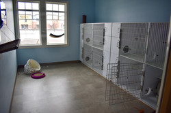 Cat Stay and Play Room