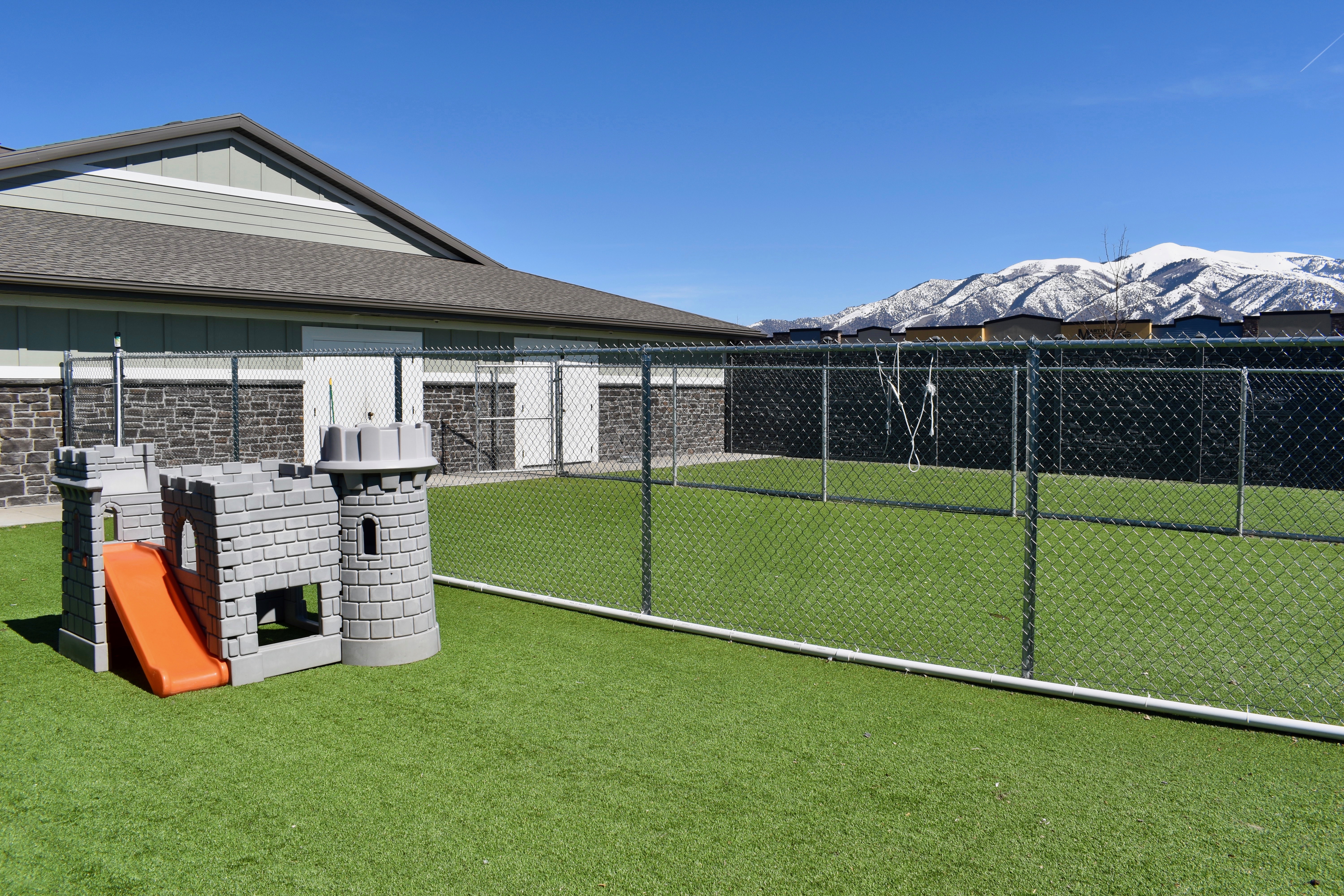Outdoor Dog Play Area