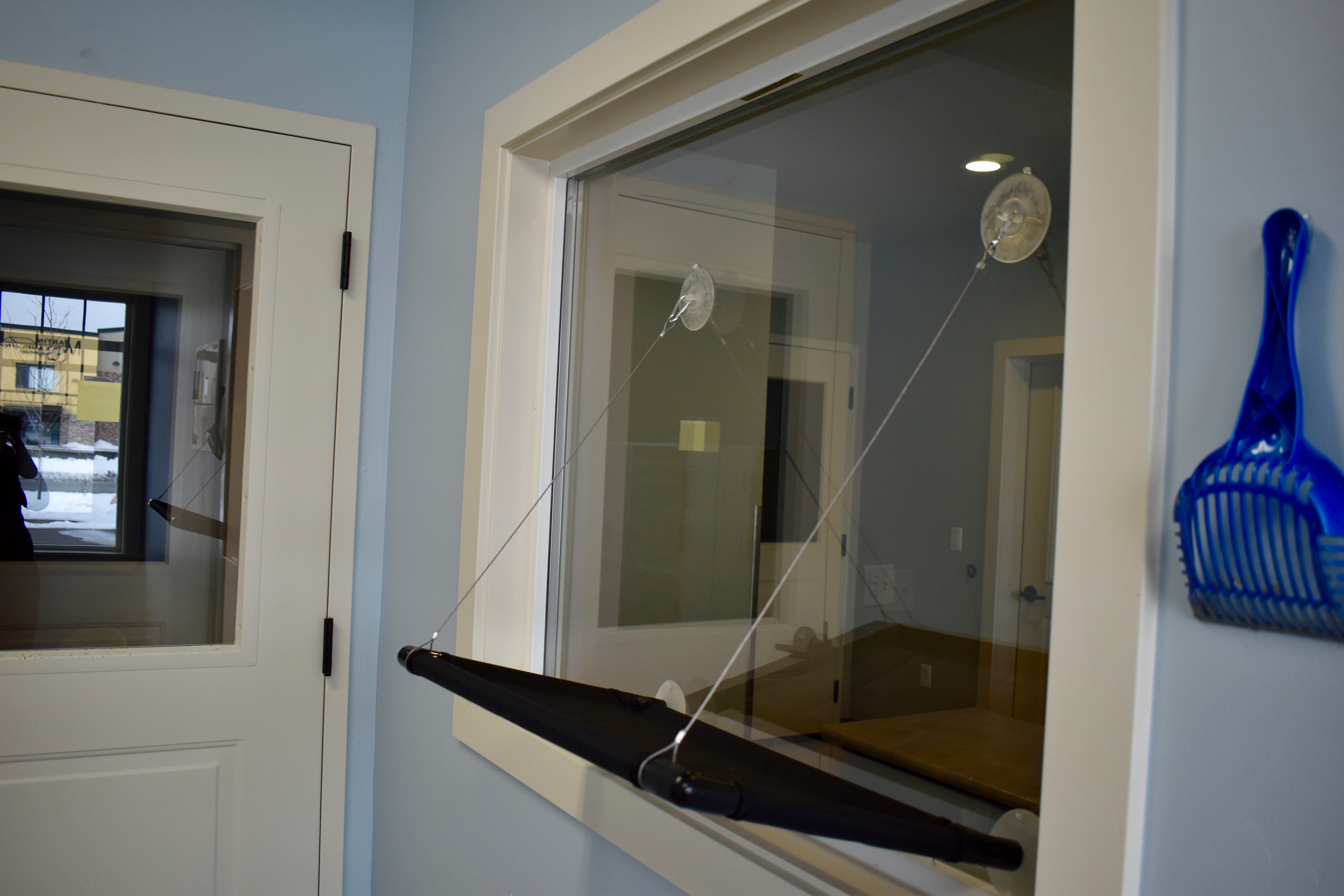 Window Perch for Cats to View Reception Area