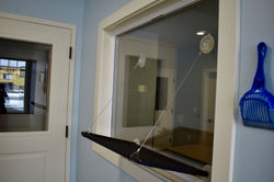 Window Perch for Cats to View Reception Area