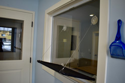 Window Perch for Cats to View Reception Area