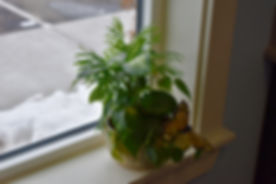 DSC_0537.jpeg