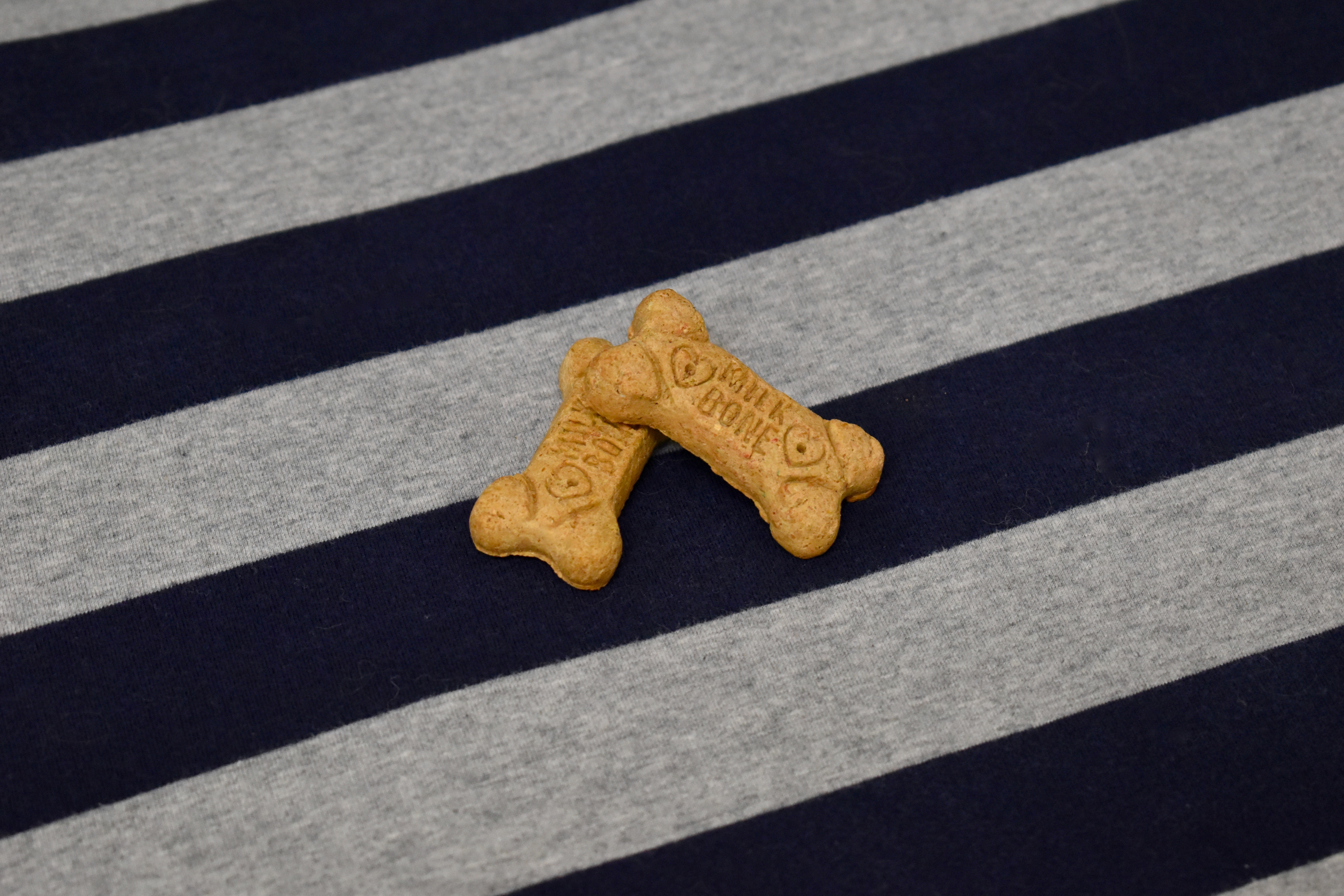 A yummy treat to welcome your pet to their suite
