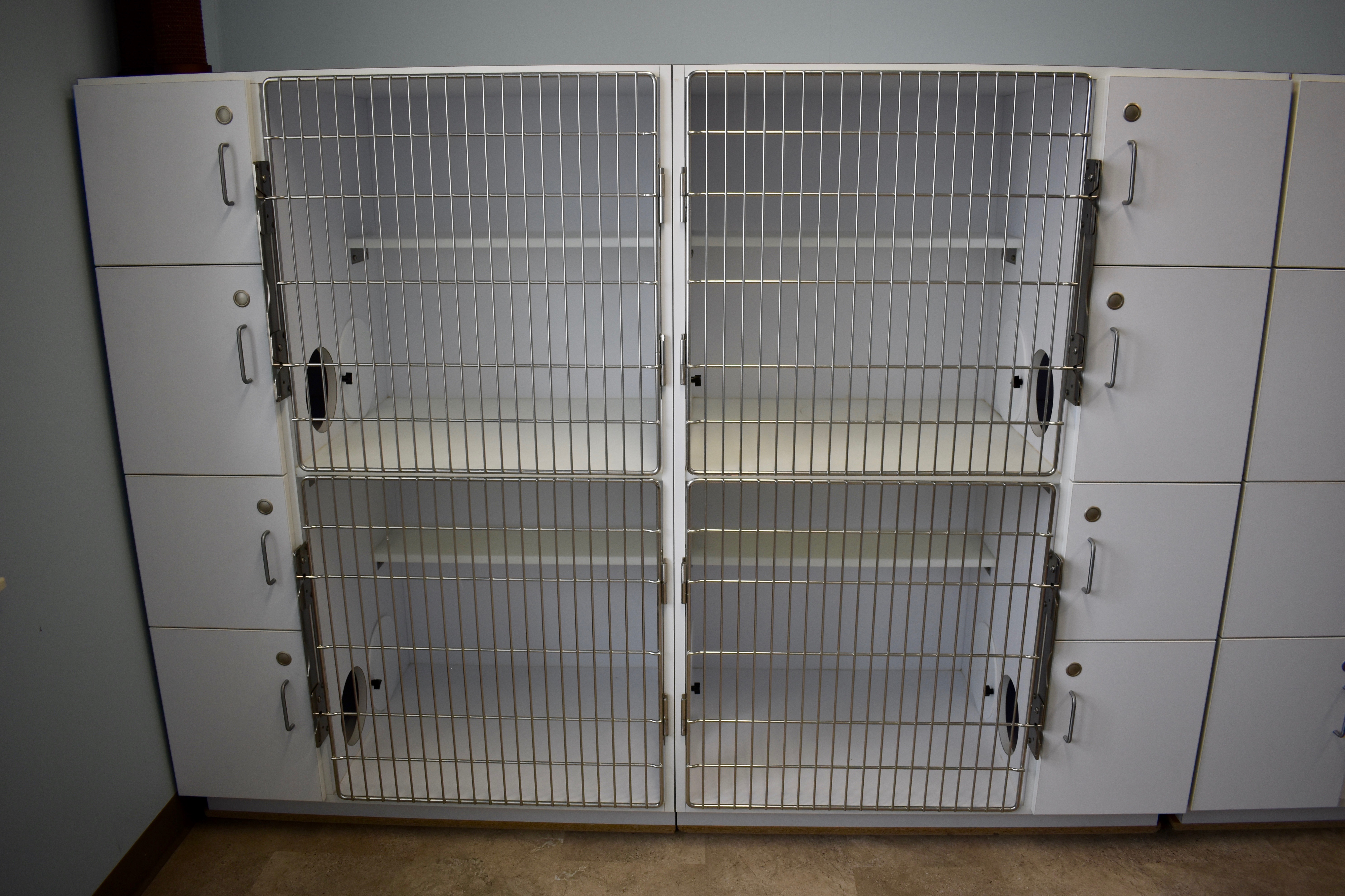 Kitty Condos