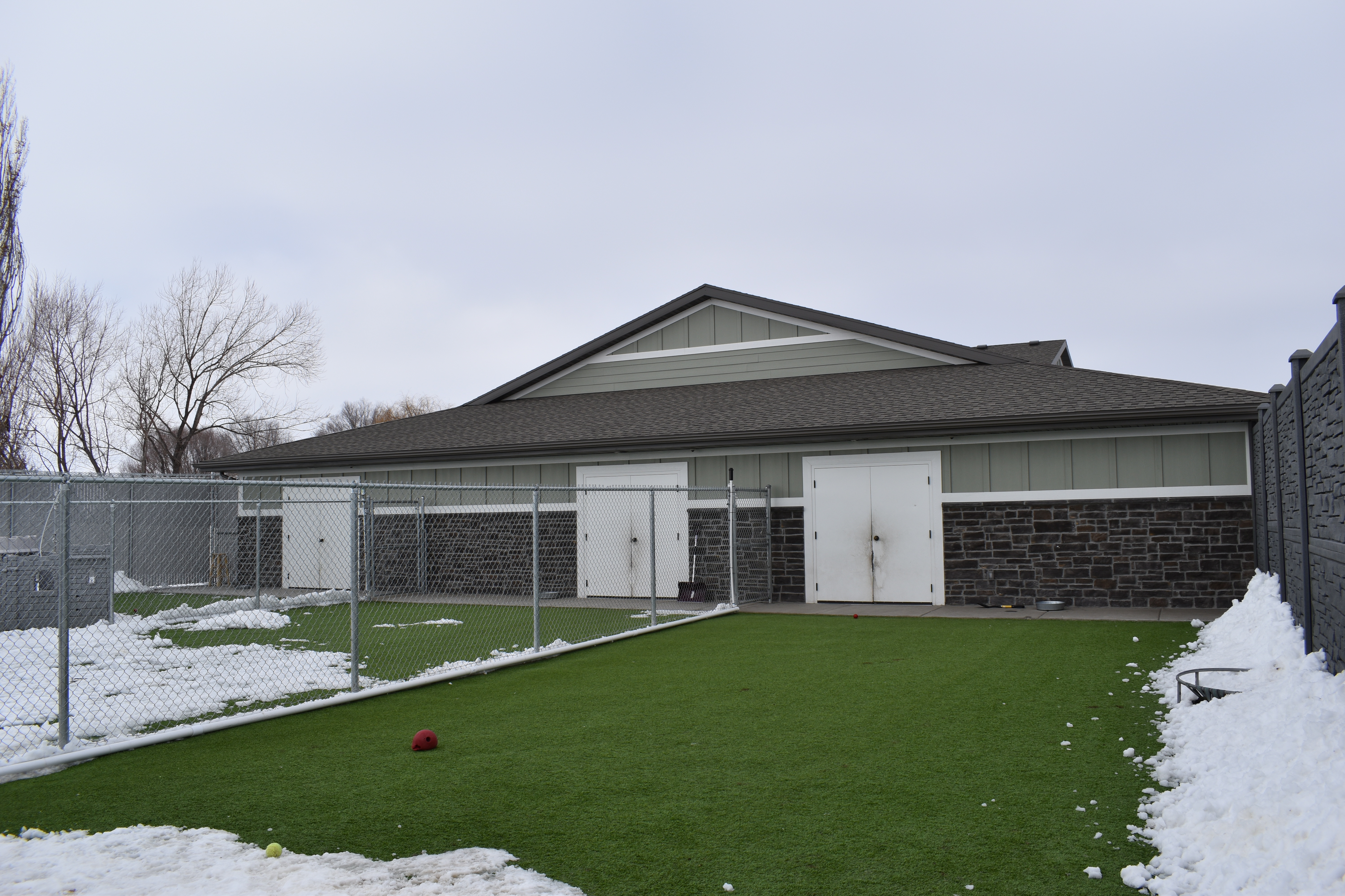 Outdoor Dog Play Area