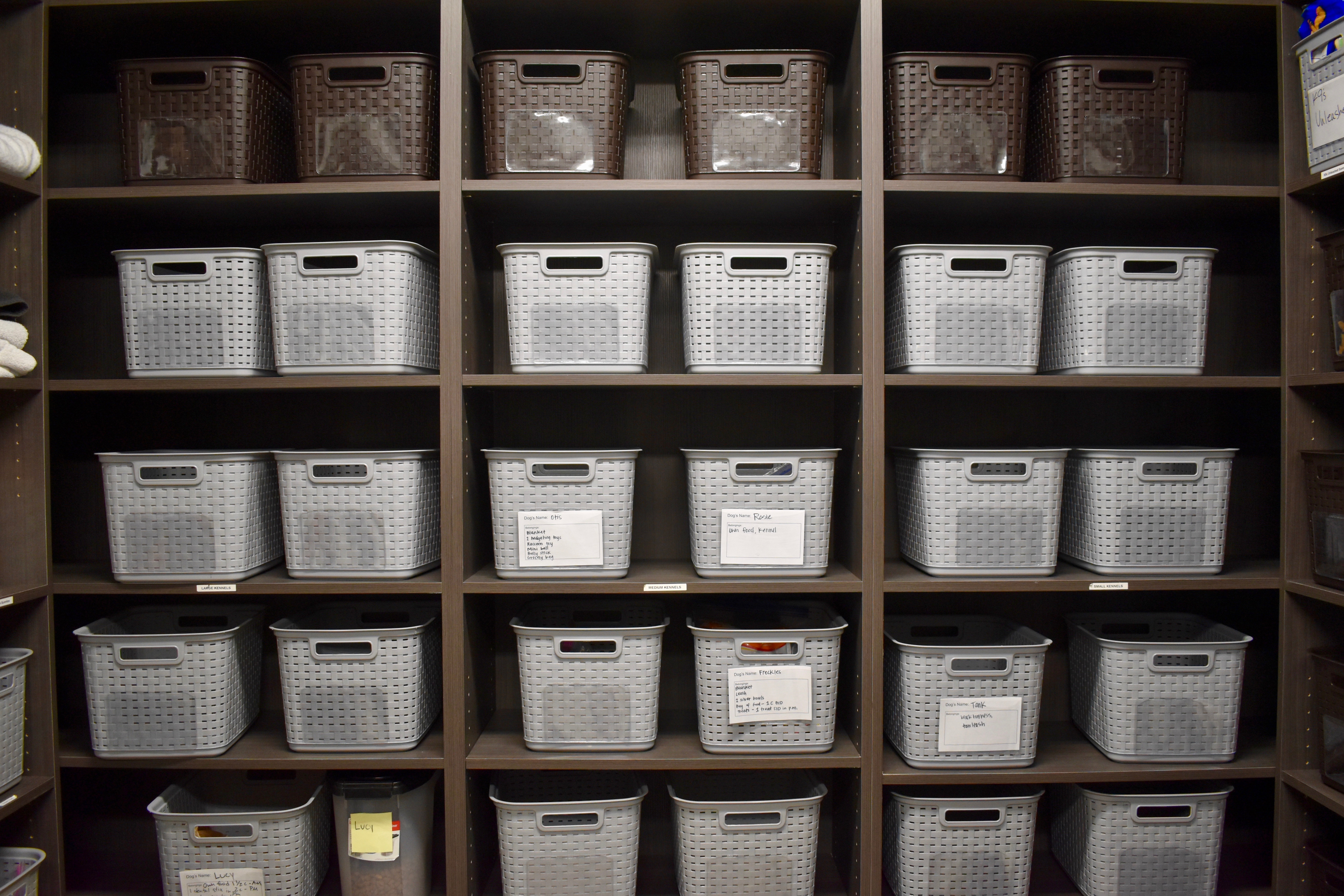 Individual pet belonging storage