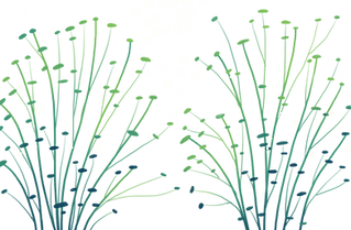 —Pngtree—underwater world plant summer ocean_3859397.png