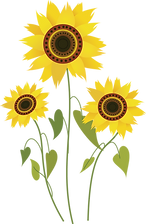 pngwing.com (21).png