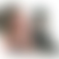 כמה שאנחנו אוהבים כלבים 