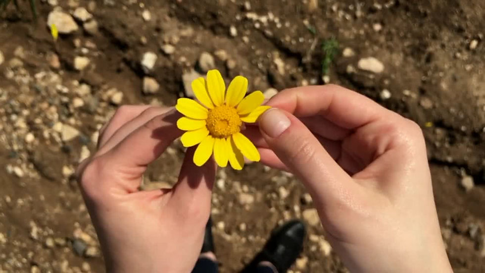 ree