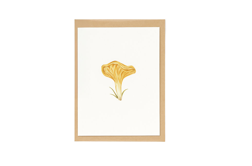 כרטיס ברכה ומעטפה - איור פטרייה צהובה בסגנון בוטני קלאסי