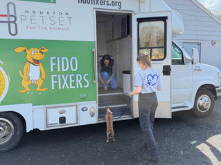 MSPCA-Angell Launches Mobile Spay and Neuter Services for Dogs and Cats
