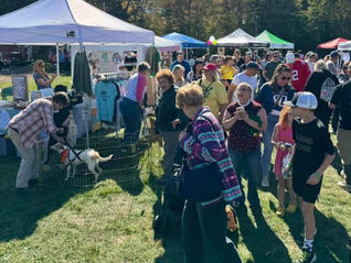 Pet Rock Festival Returns to Lancaster for Its 28th Year
