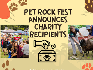 Pet Rock Fest Announces 2025 Festival Proceeds Awardees