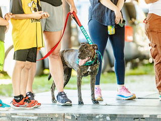 From Rescue to Rock: 27th Pet Rock Fest Celebrated Kindness to All Creatures